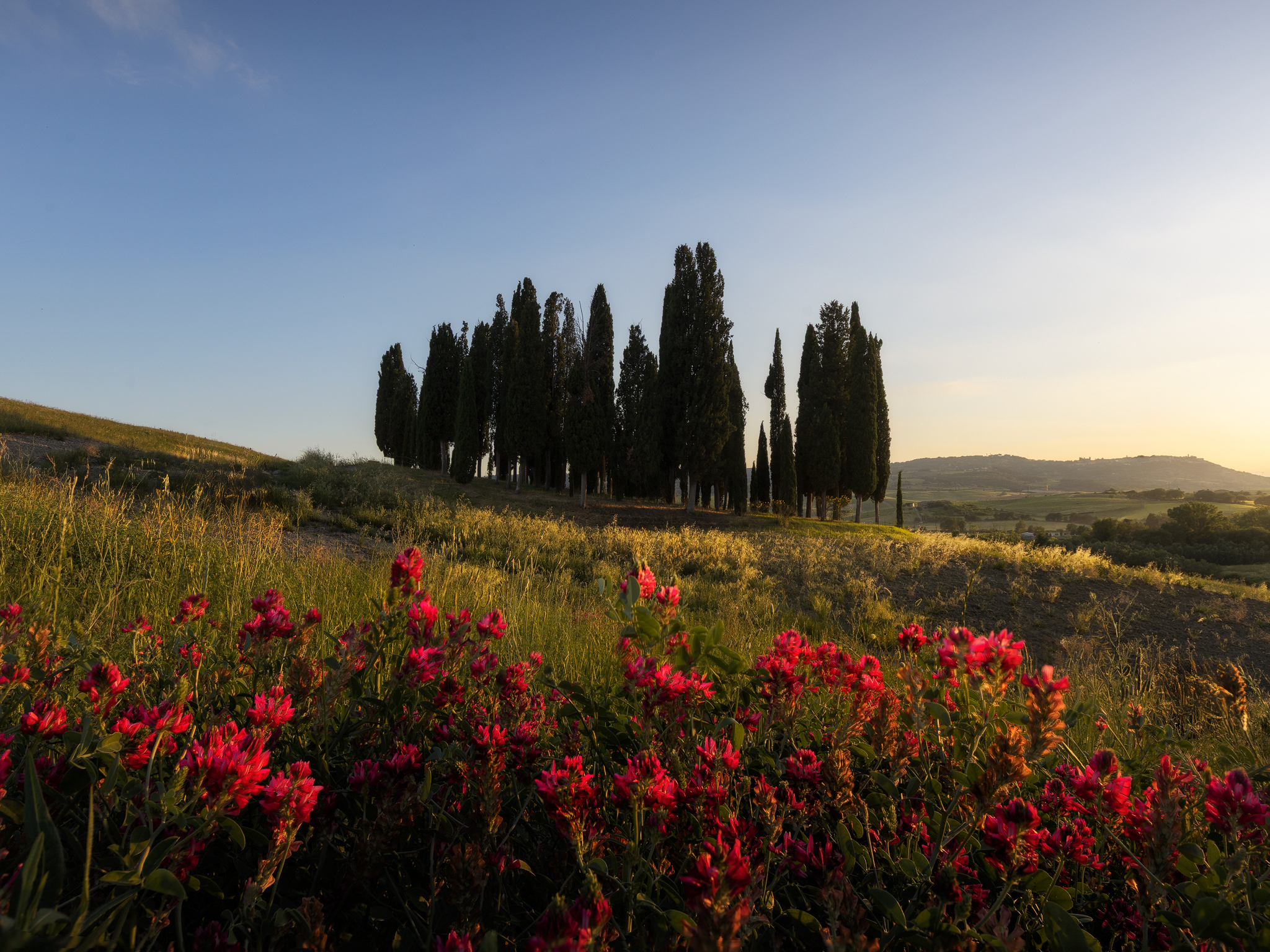 Workshop Val D’orcia in Primavera