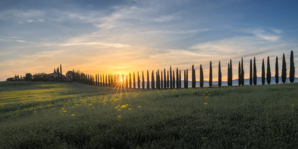 Val D’Orcia
