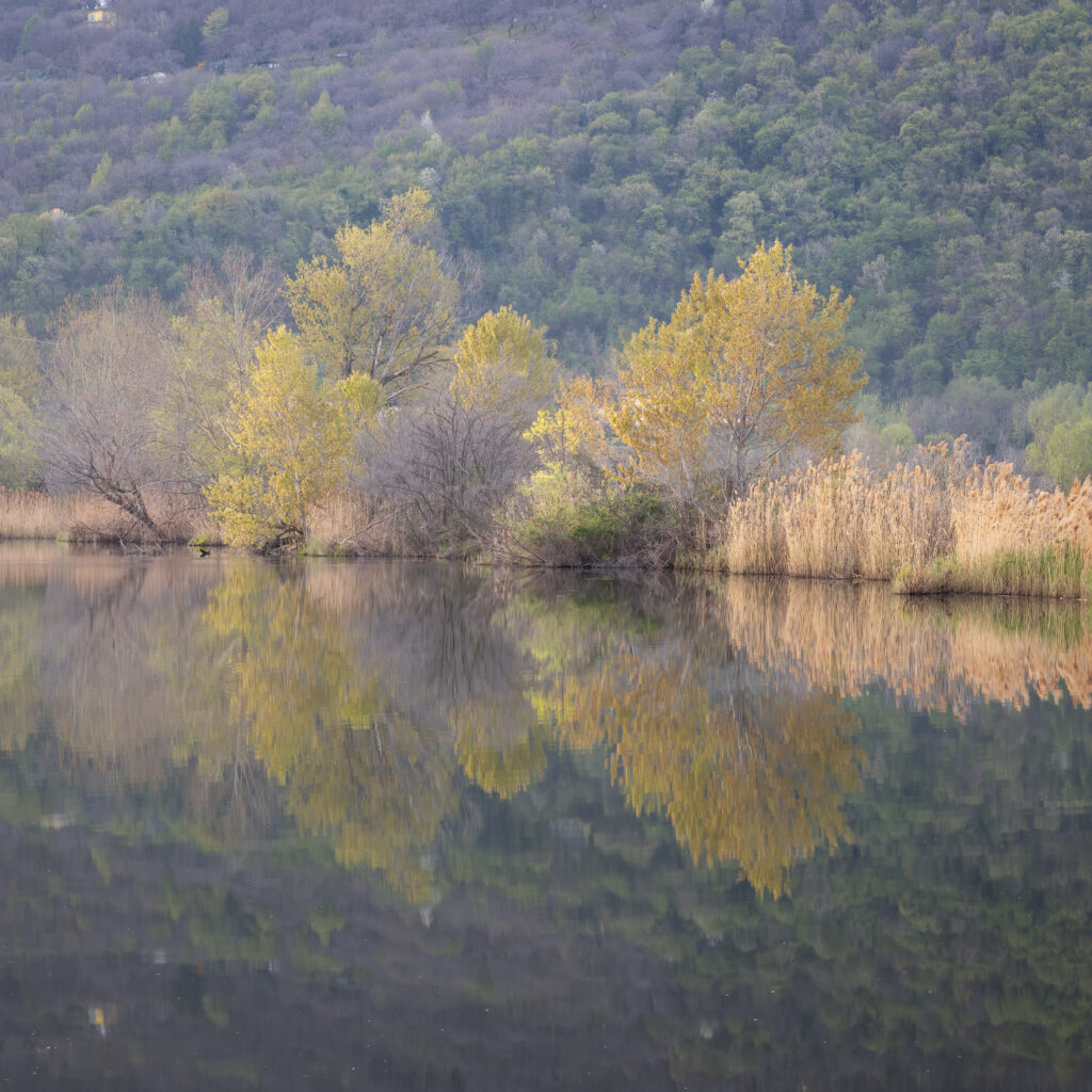 Torbiere del Sebino