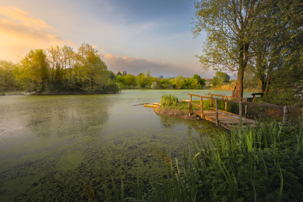 Bornato “Il parco Pai”