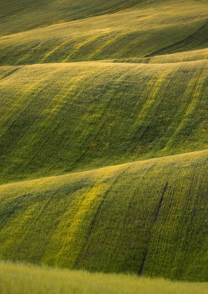Val D’Orcia