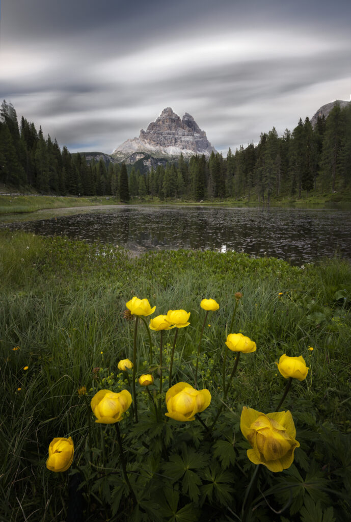 Dolomiti