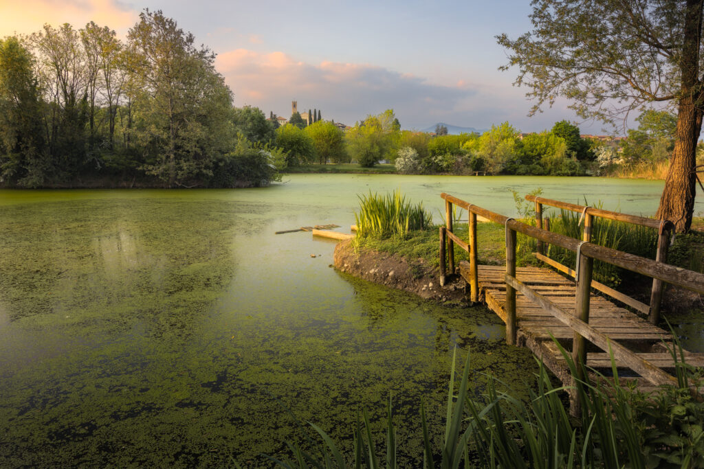 Bornato – Parco Pai