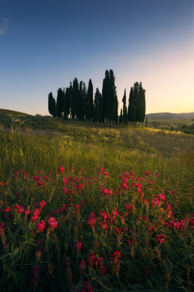 Val D’Orcia