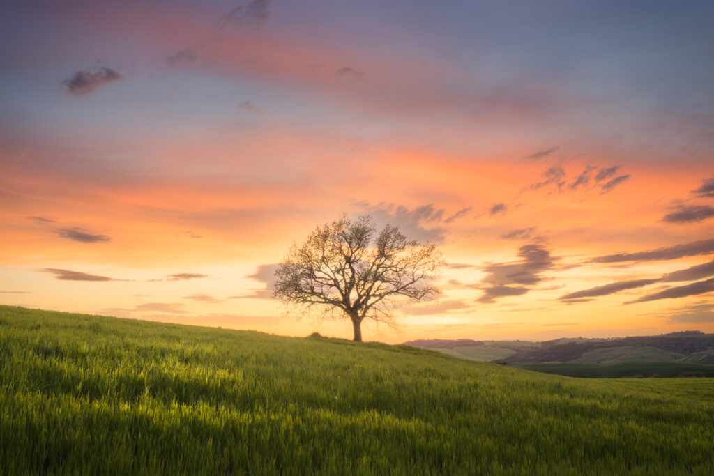 Val D’Orcia