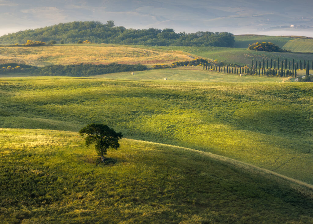 Val D’Orcia